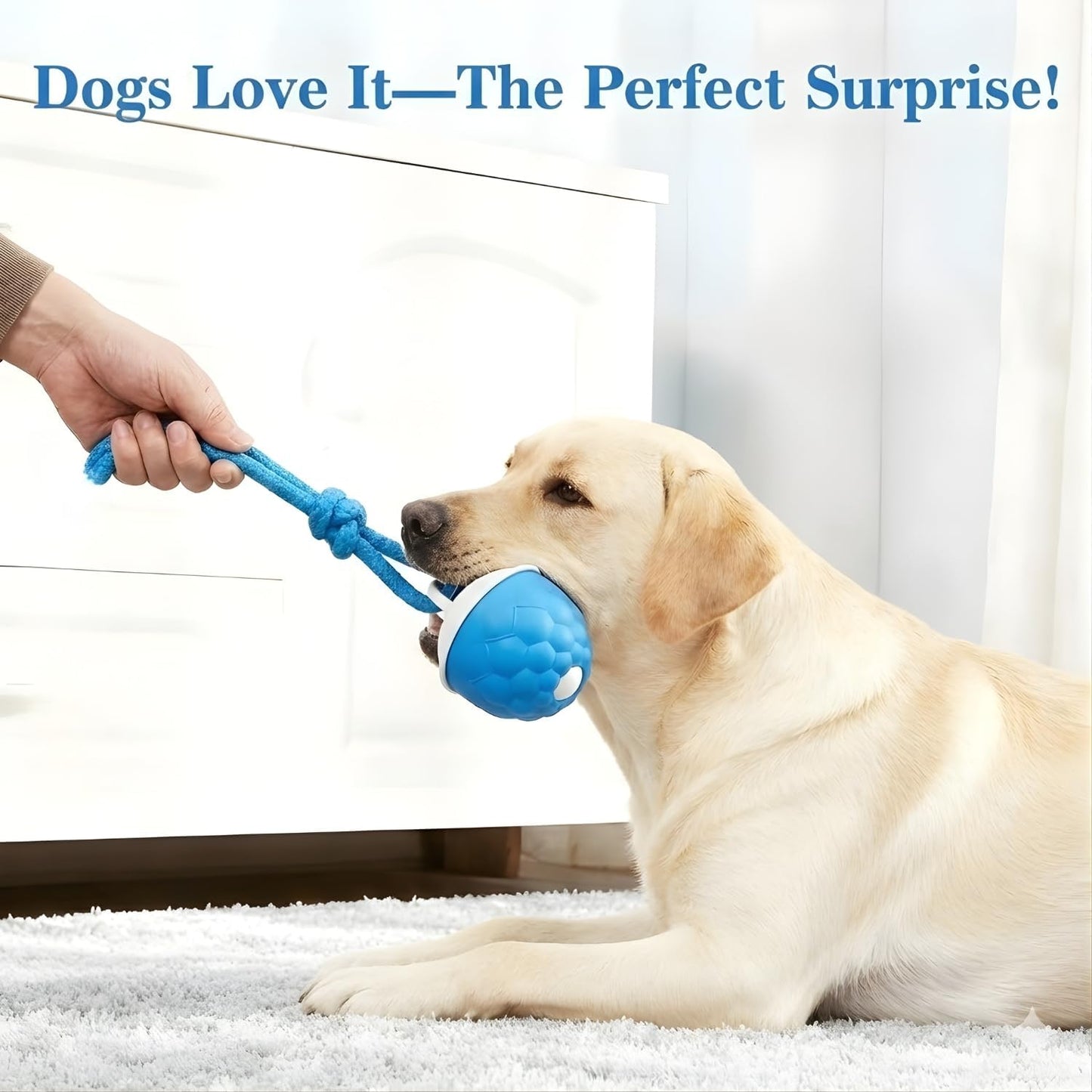 Interactive Motion-Activated Dog Toy with Rope – Rechargeable Smart Ball for Small Dogs, Featuring 3 Speed Modes and Durable Design