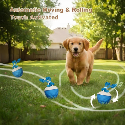 Interactive Motion-Activated Dog Toy with Rope – Rechargeable Smart Ball for Small Dogs, Featuring 3 Speed Modes and Durable Design