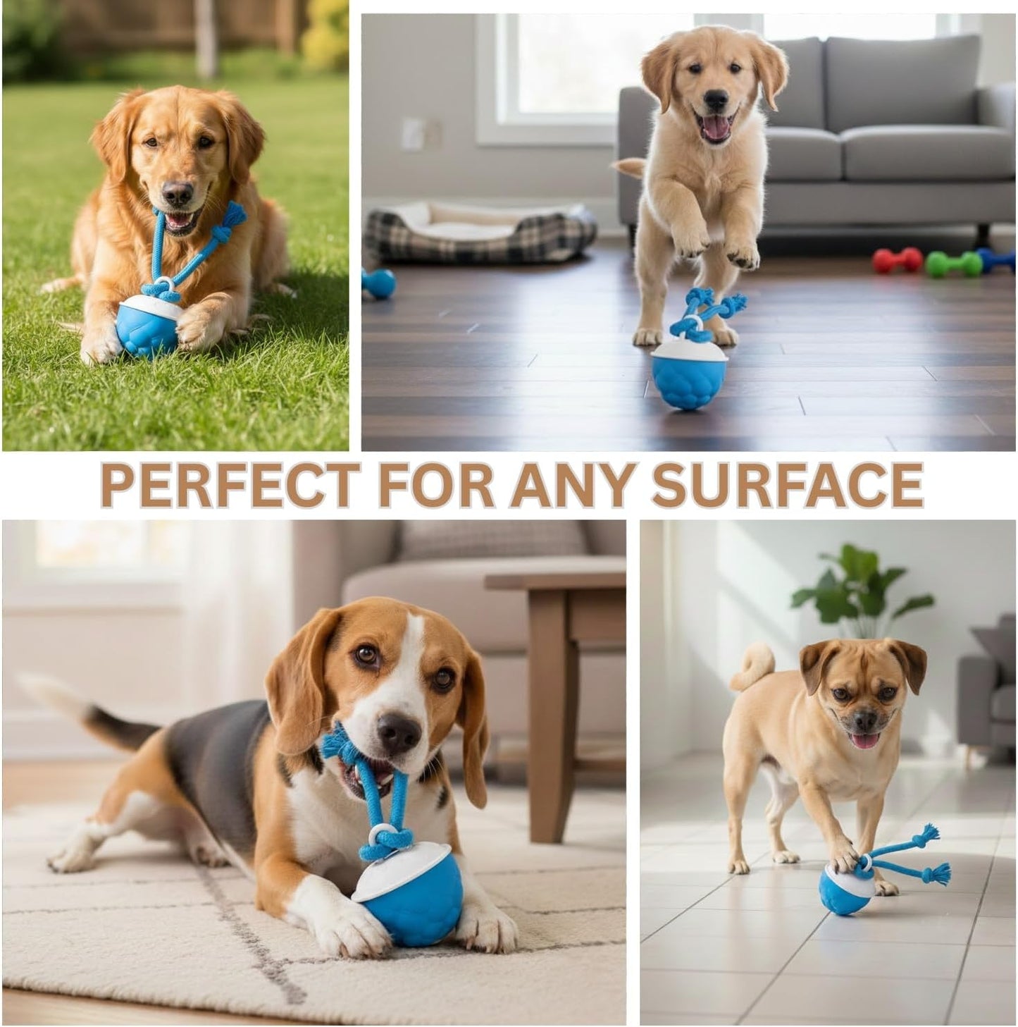 Interactive Motion-Activated Dog Toy with Rope – Rechargeable Smart Ball for Small Dogs, Featuring 3 Speed Modes and Durable Design
