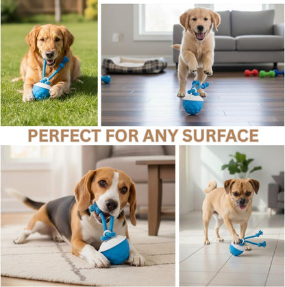 Interactive Motion-Activated Dog Toy with Rope – Rechargeable Smart Ball for Small Dogs, Featuring 3 Speed Modes and Durable Design