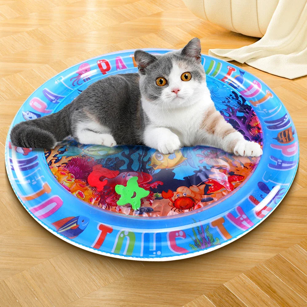 Cat Water Activity Mat